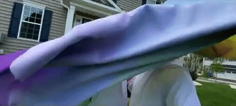 gay